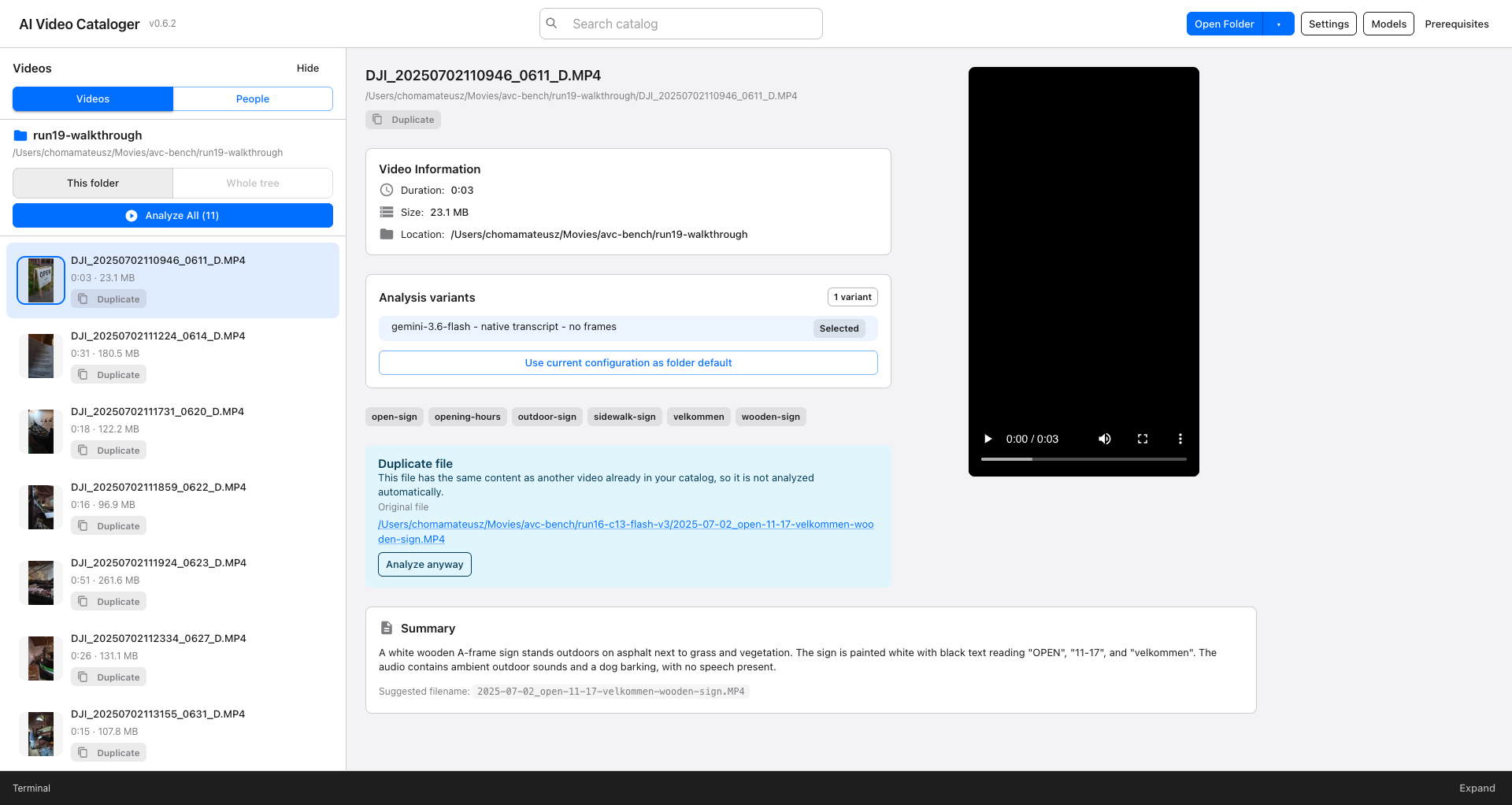 The Analysis variants panel on a selected clip, showing the stored configuration and its selected state